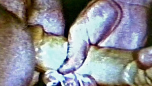 man Putting Cream On A enormous Dildo For His BF's anus! 