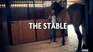 Damien Crosse walks in on David Birdham wasting time in the stables playing with the horses. Sick of David’s weak apologies, Damien ties him up and gives him something to be really sorry about – a rough pounding.