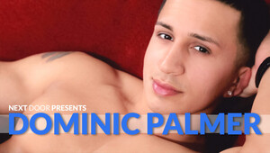 Dominic Palmer