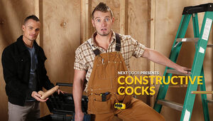 Constructive Cocks
